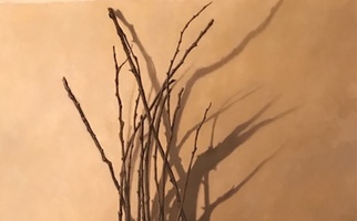 <strong>Branches, shadows, string</strong> <span class="dims">48x30”</span> oil on linen